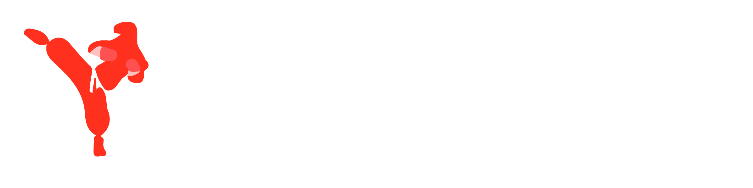 Krav Maga Hacking