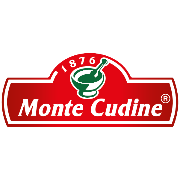 Monte Cudine