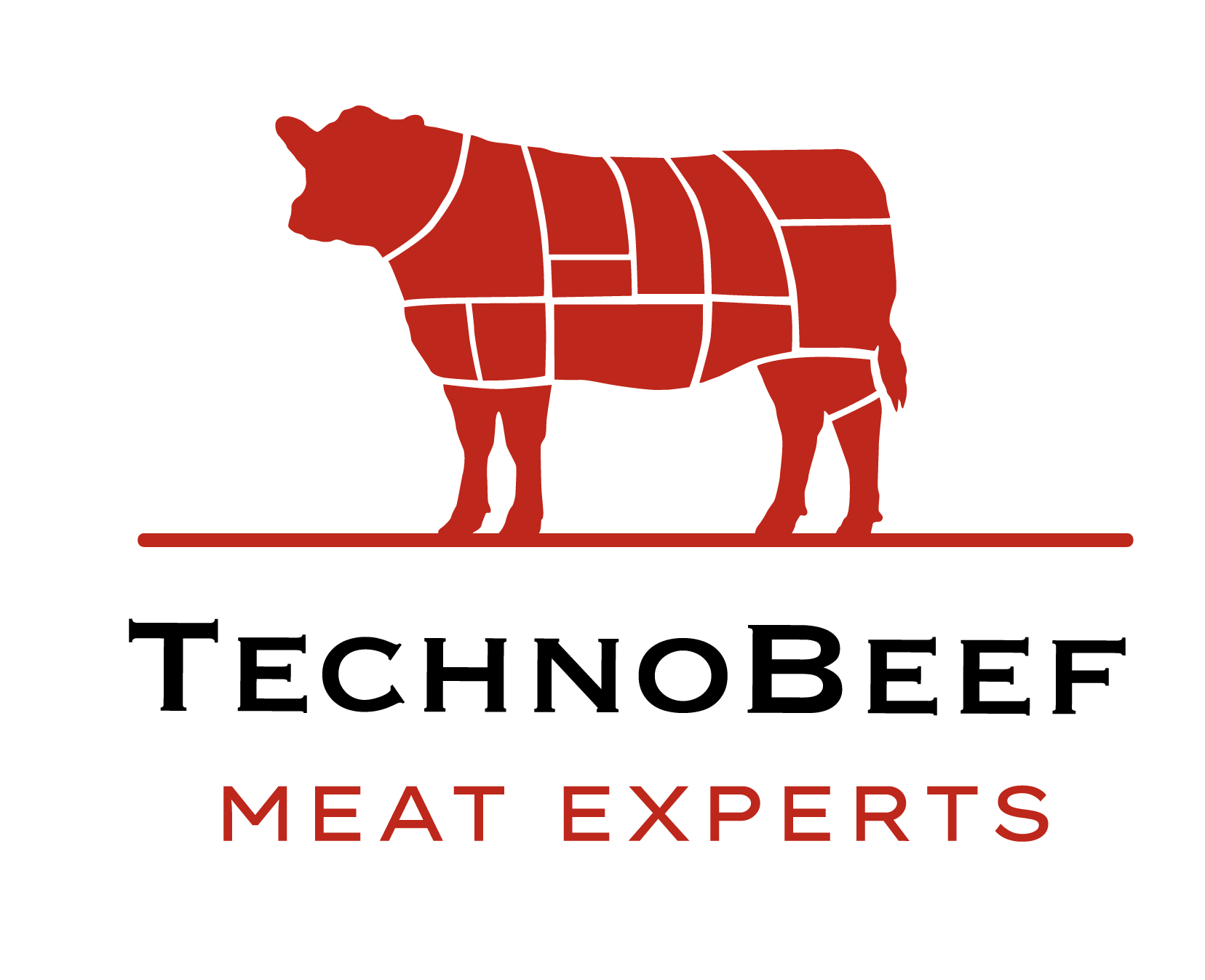 TECHNOBEEF