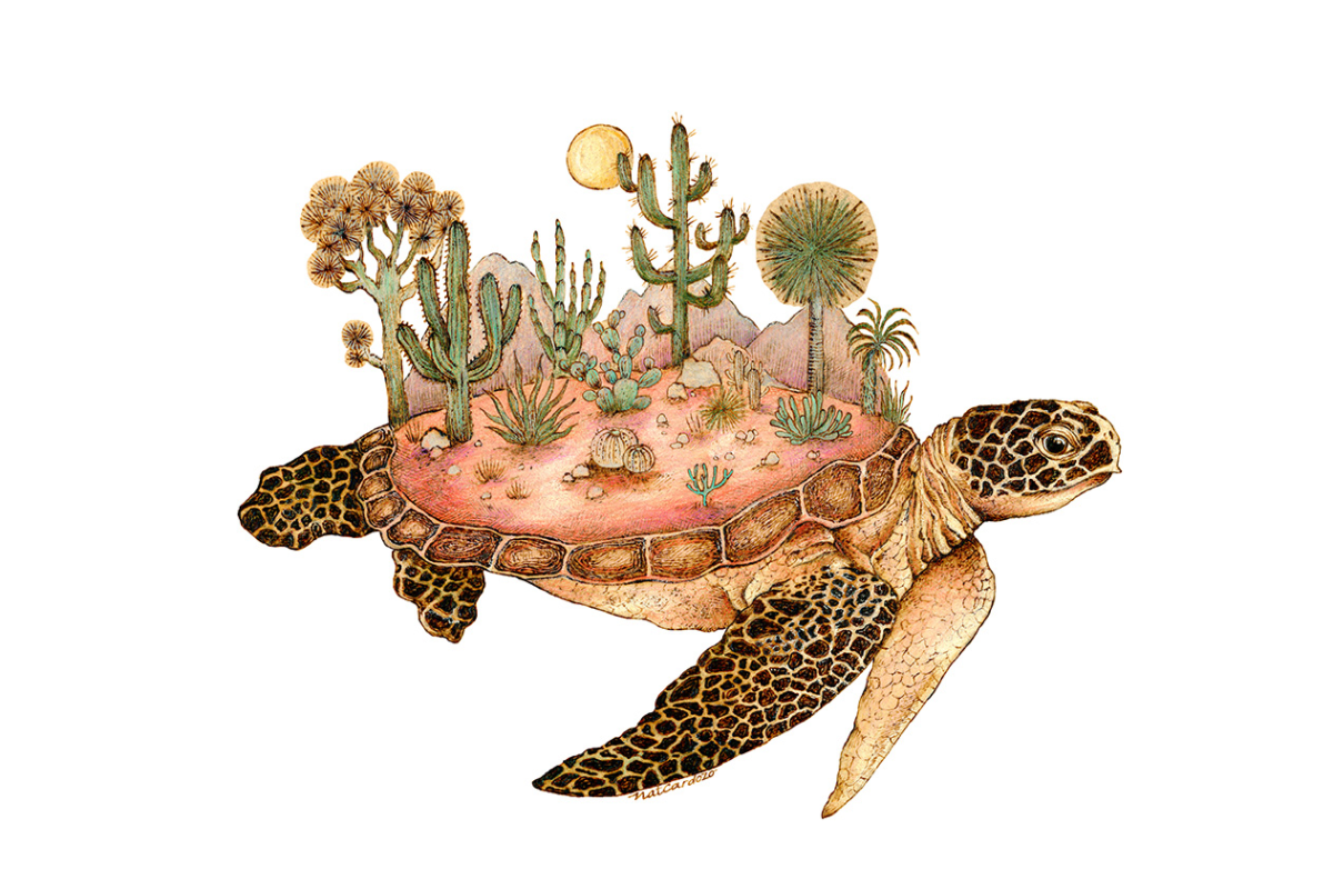 Todo está conectado