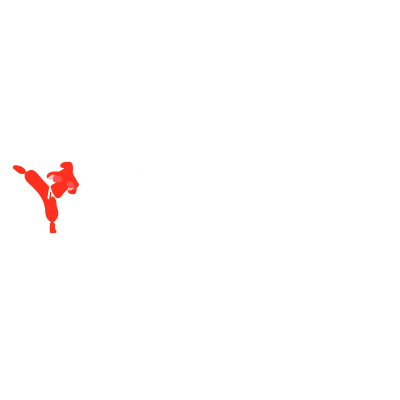 Krav Maga Hacking
