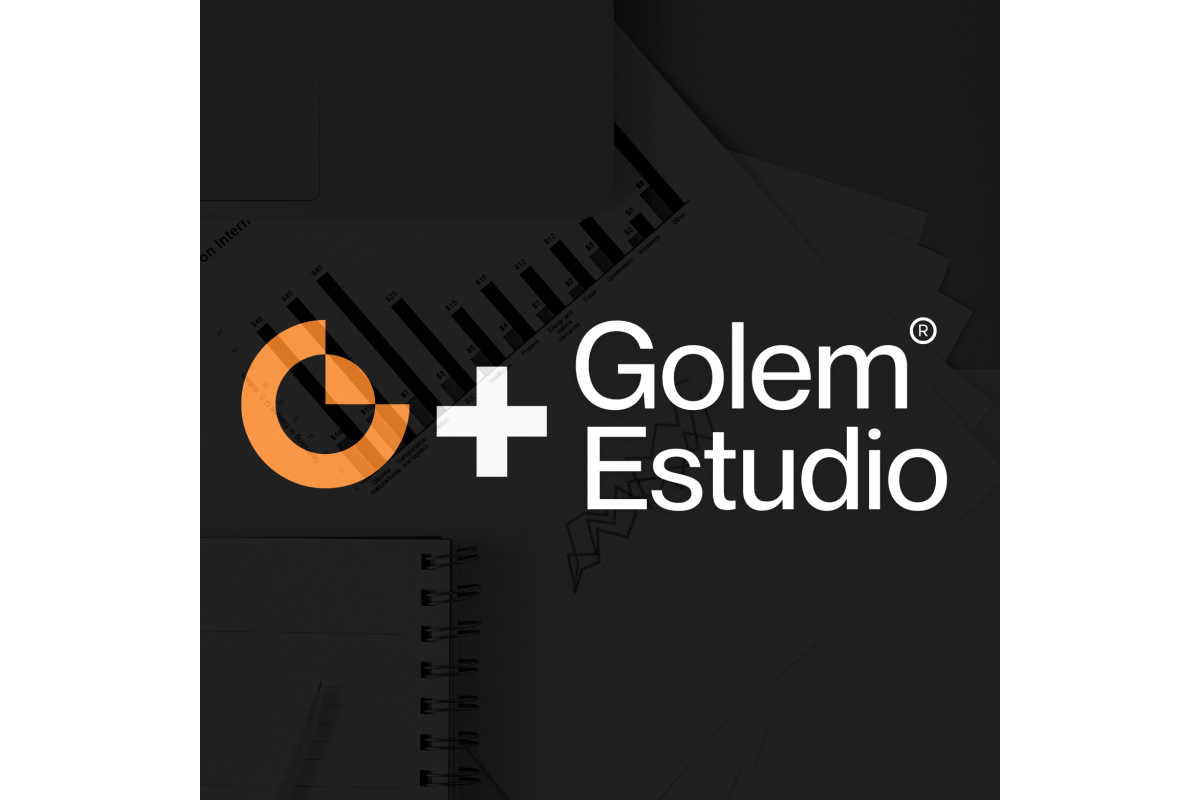 Implementación de sistema de gestión financiera y estratégica para Estudio GOLEM