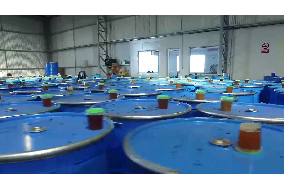 Bulk export
