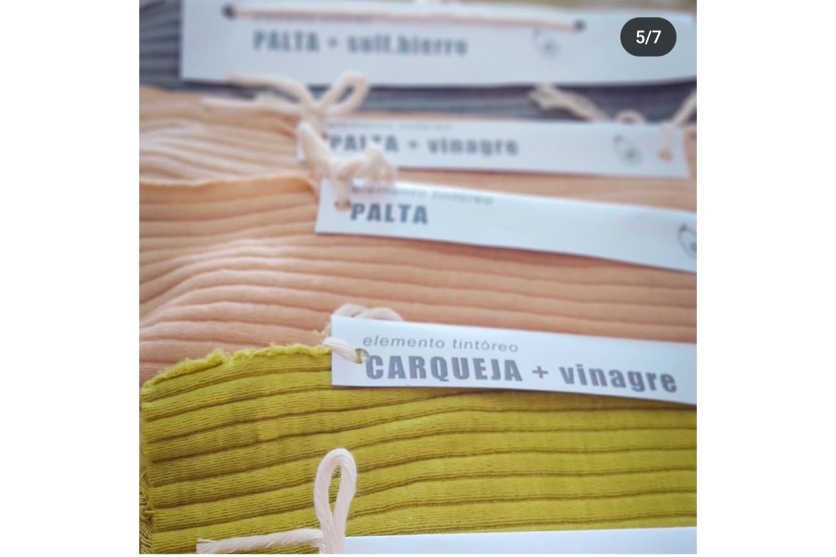 Paleta de colores lisos