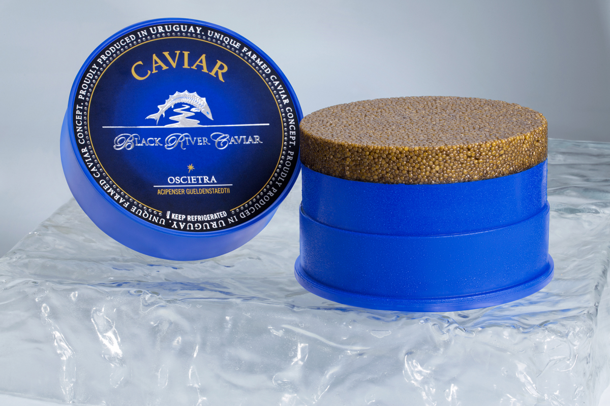 Envase primario de 1,7 kg de caviar oscietra