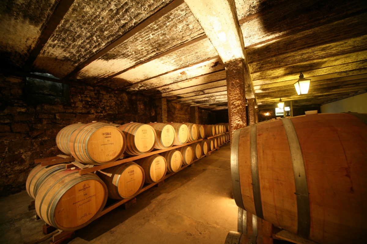 Cellar