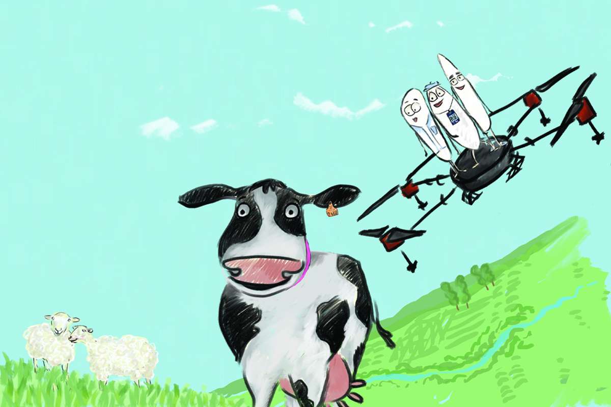 Front cover Los arrocitos investigadores, tras la pista de
las ovejas perdidas