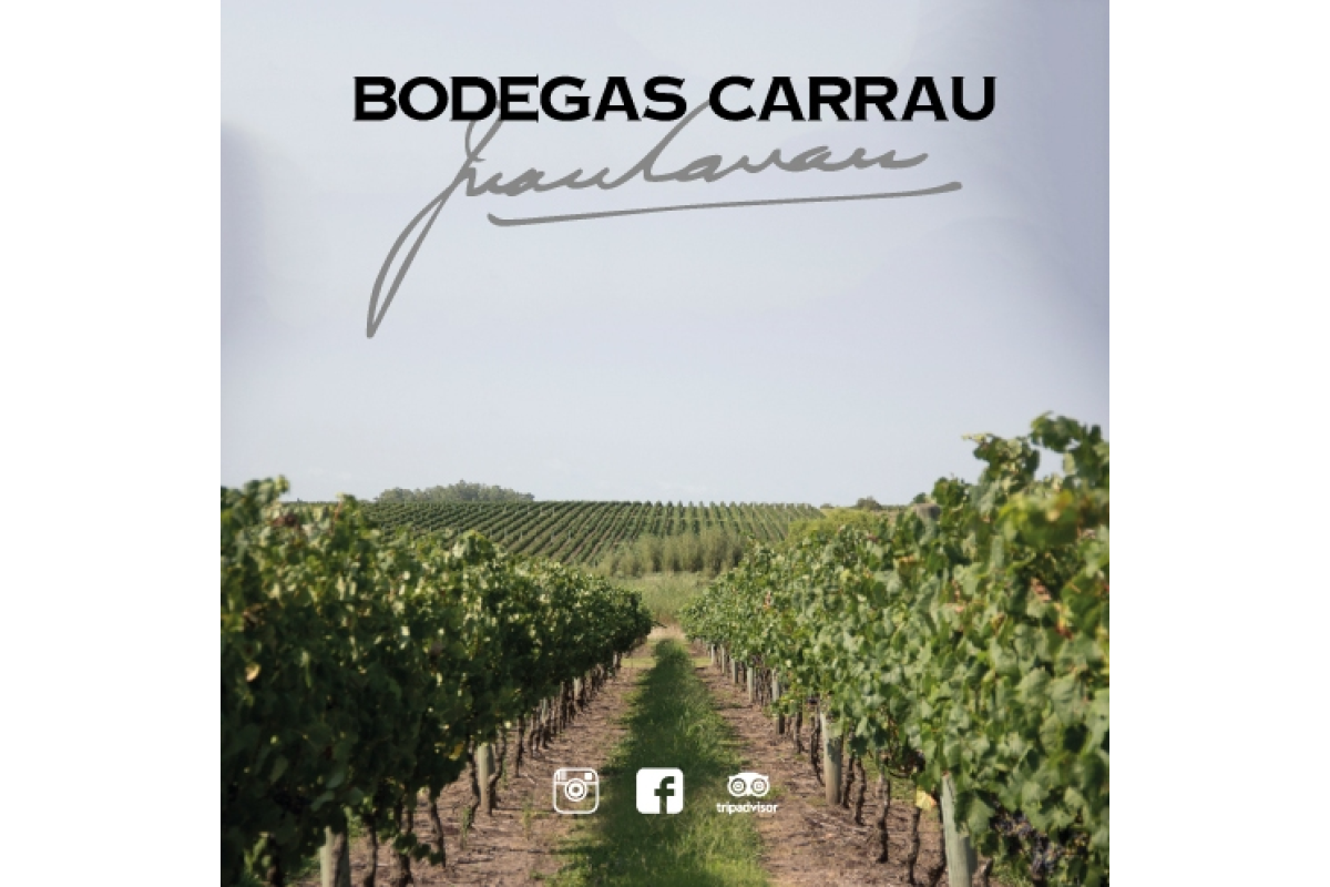 Vineyards