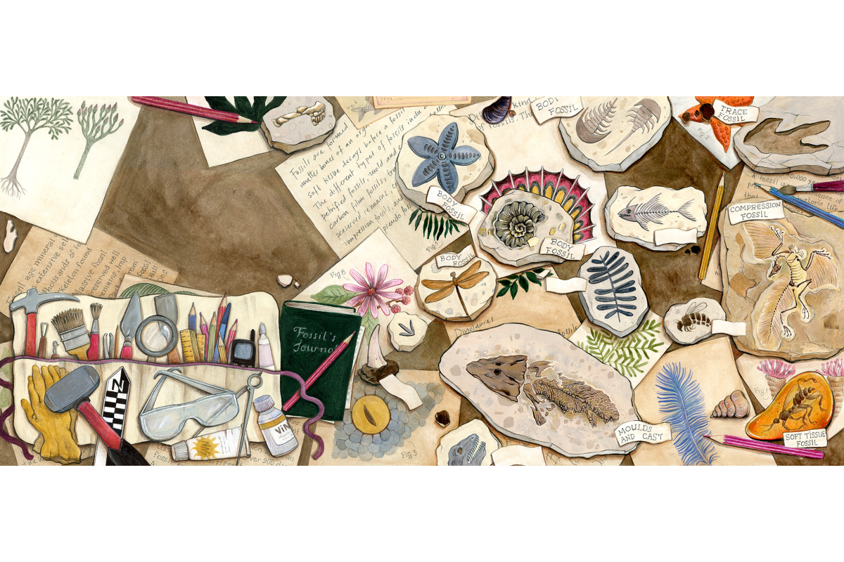 The Fossil´s keepers