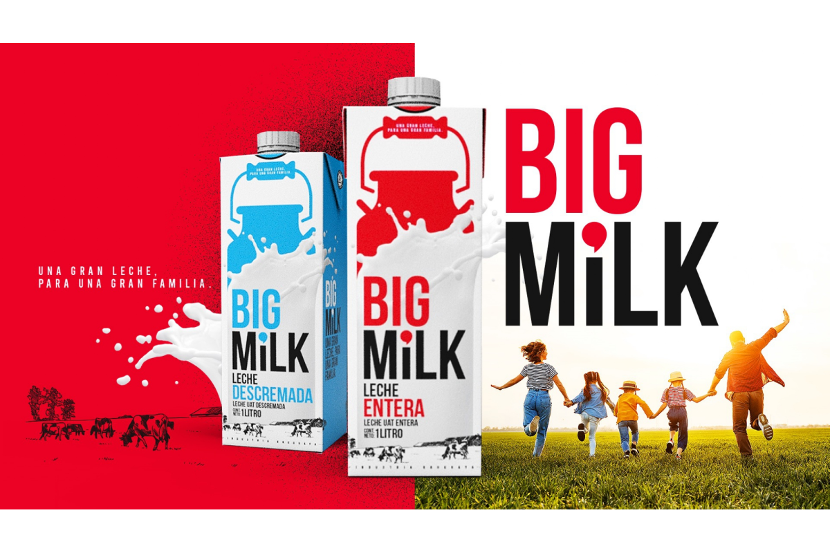 Big Milk diary products