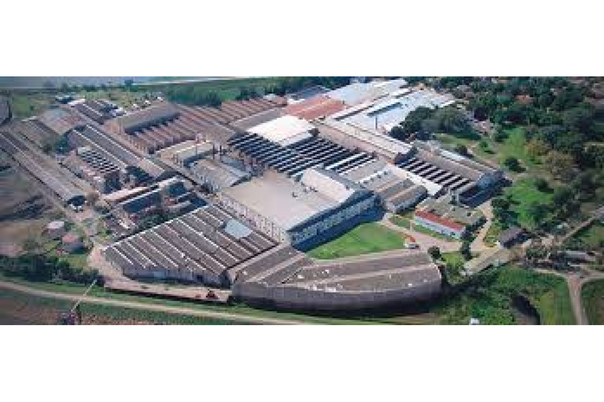 Manufactura de Pilar S.A. (Paraguay)