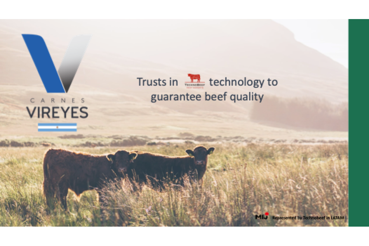 CARNES VIREYES
