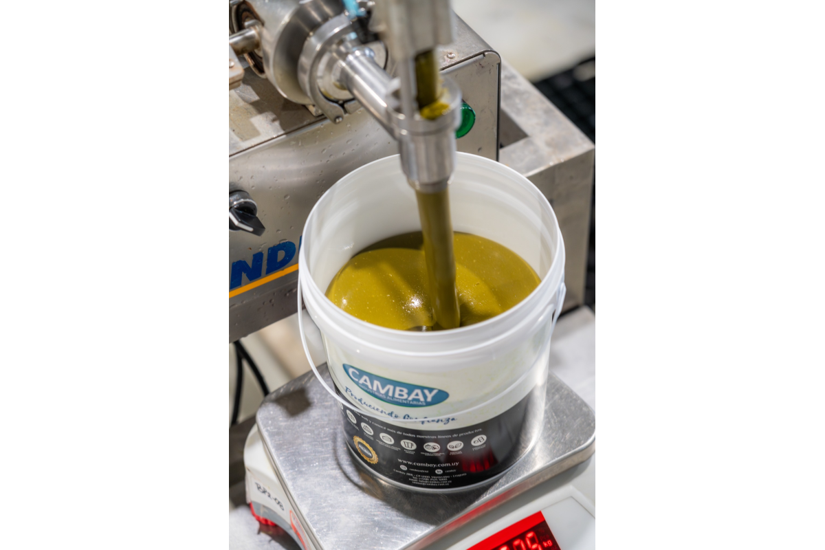 Cambay Product Manufacturing