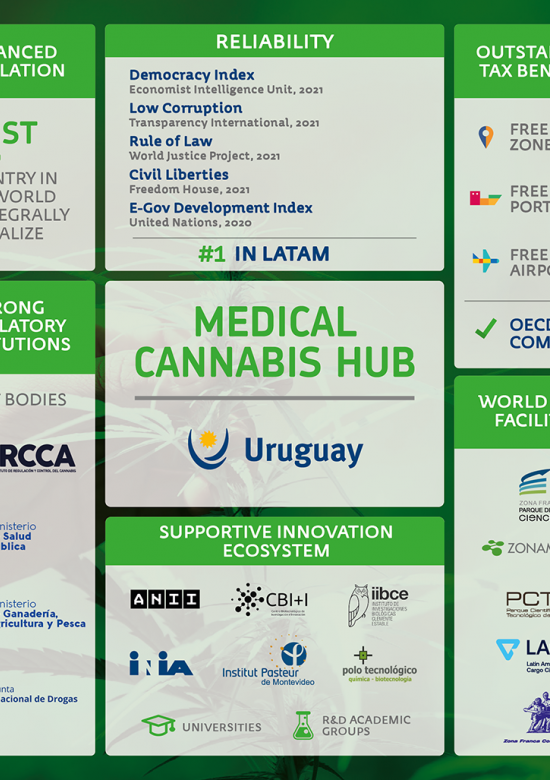 I want to invest Sector Life Sciences Uruguay XXI