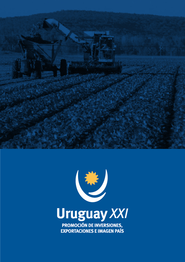 Informe Agronegócios