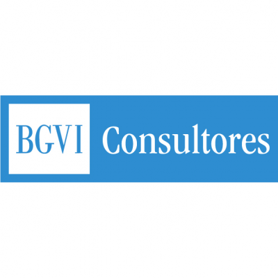 BGVI Consultores