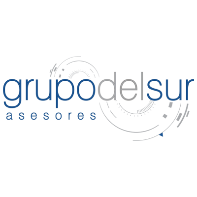 GRUPO DEL SUR ASESORES