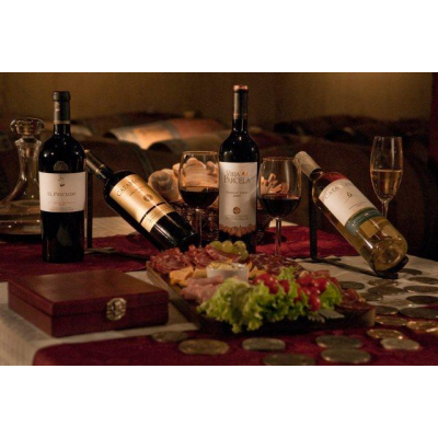 Bodega Castillo Viejo